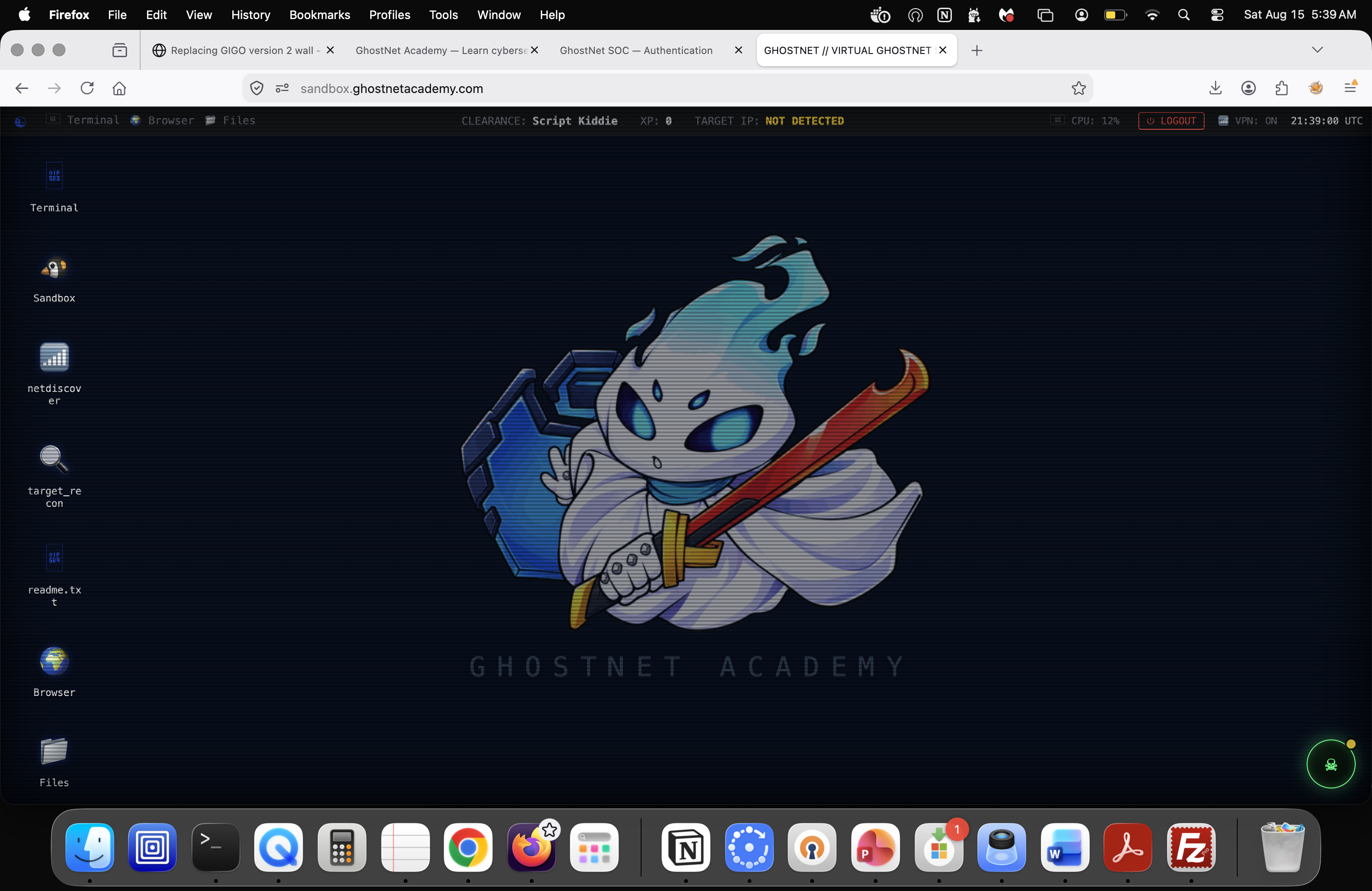 Ghostnet Sandbox screenshot 2